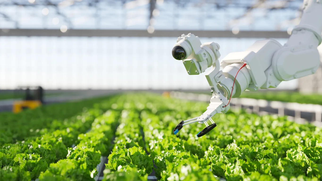 Emerging Technologies and Future Farming — How Kisaan AI Is Powering Smarter Agriculture